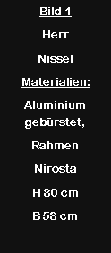 Textfeld: Bild 1HerrNisselMaterialien:Aluminium gebrstet, Rahmen NirostaH 80 cmB 58 cm