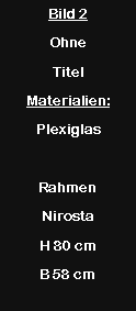 Textfeld: Bild 2Ohne TitelMaterialien:PlexiglasRahmen NirostaH 80 cmB 58 cm