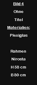 Textfeld: Bild 4Ohne TitelMaterialien:PlexiglasRahmen NirostaH 58 cmB 80 cm